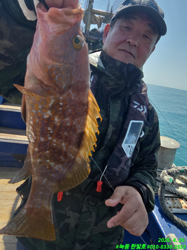 8632.jpg