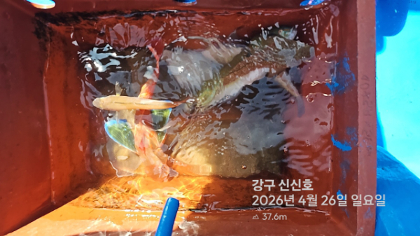 신신낚시 강구점 신신호_사진_20260426_17.jpg