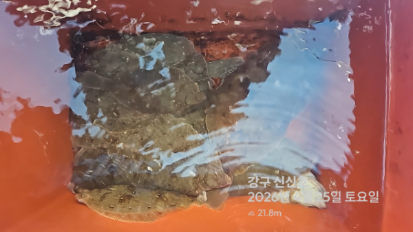 신신낚시 강구점 신신호_사진_20260425_9.jpg