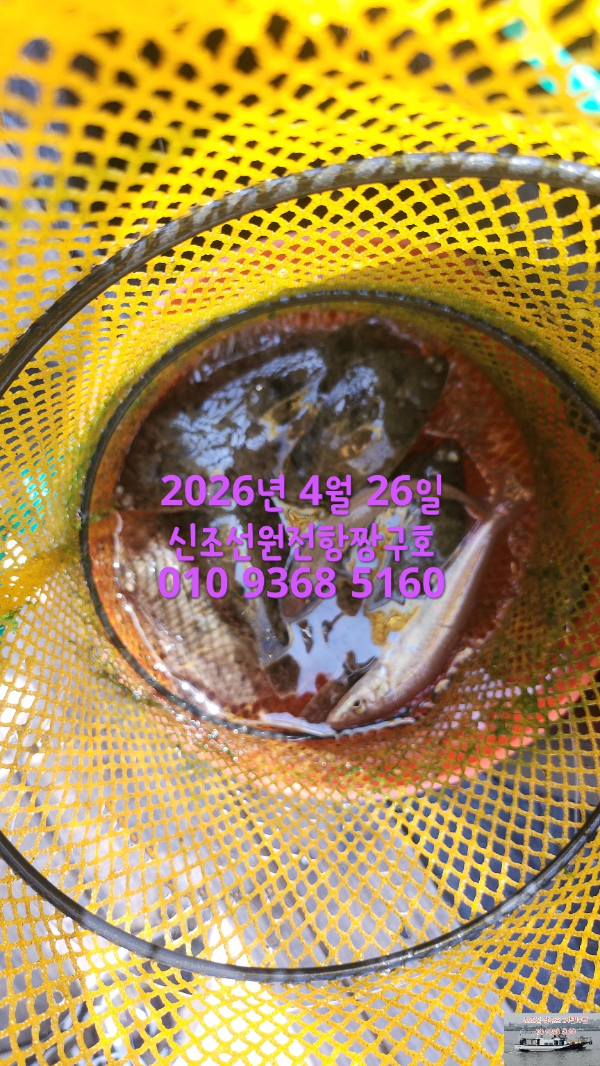 KakaoTalk_20260430_114444318_01.jpg