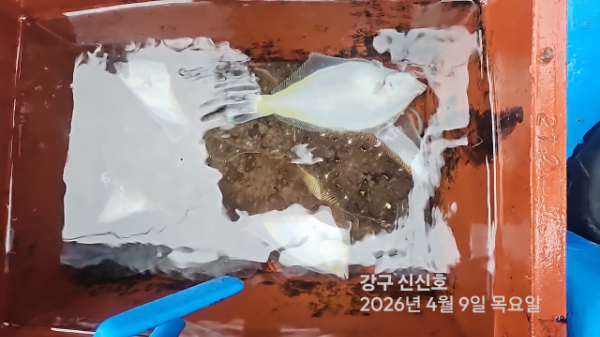 신신낚시 강구점 신신호_사진_20260409_13.jpg