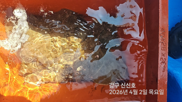 신신낚시 강구점 신신호_사진_20260402_20.jpg