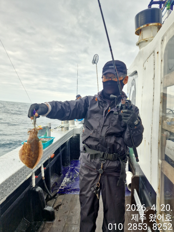 제주왔어호_사진_20260420_17.jpg