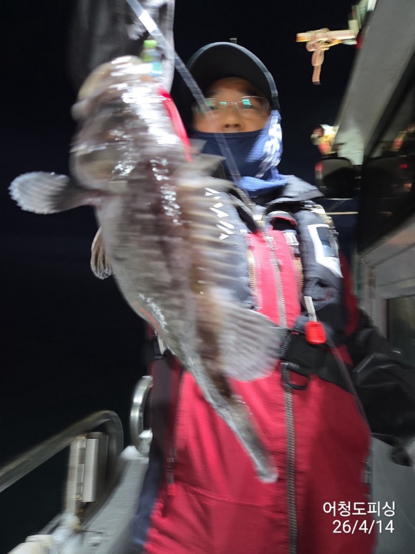 최강피싱 063.463.0800_사진_20260414_28.jpg