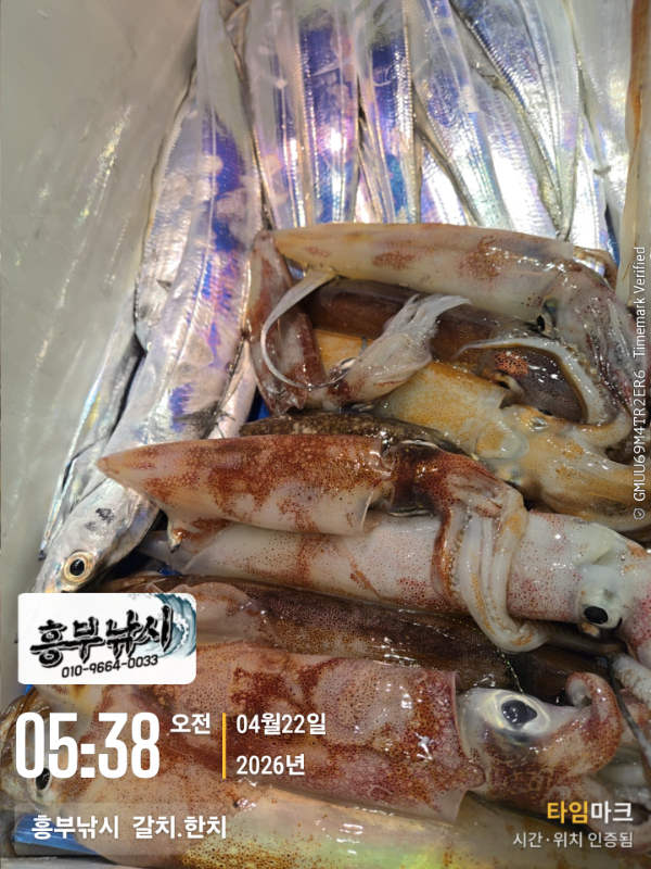 2026-04-22 05.38.21__(-흥부낚시  갈치.한치).jpg