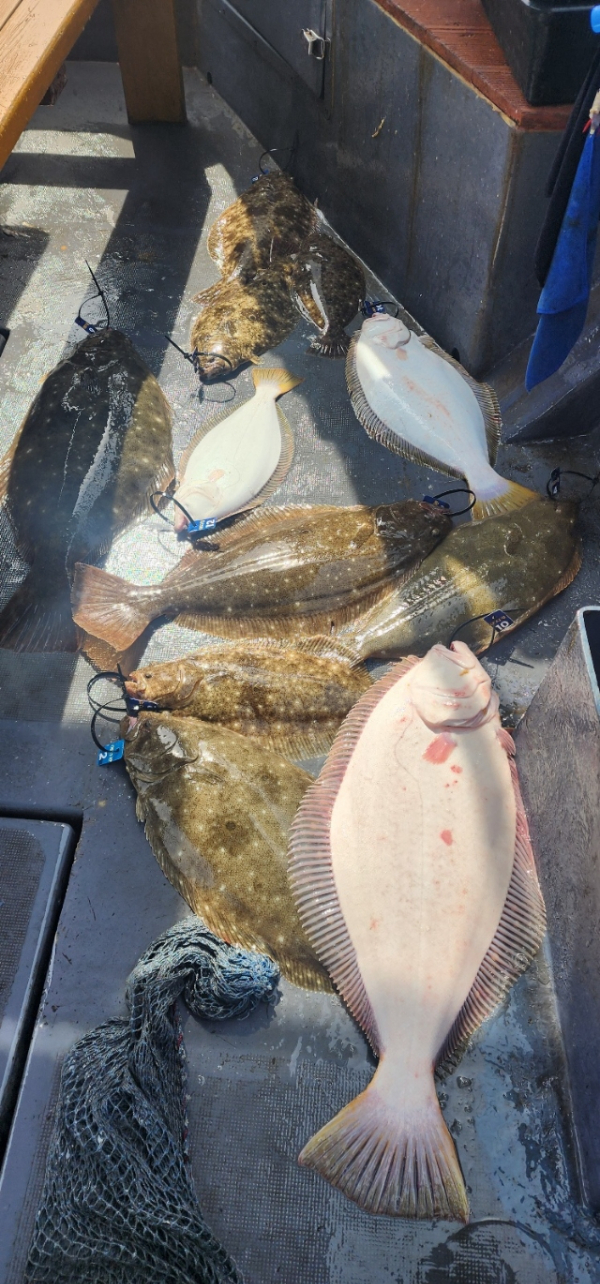 예지퀸호 농어외수질&어초낚시 경기인천권_사진_20260429_16.jpg