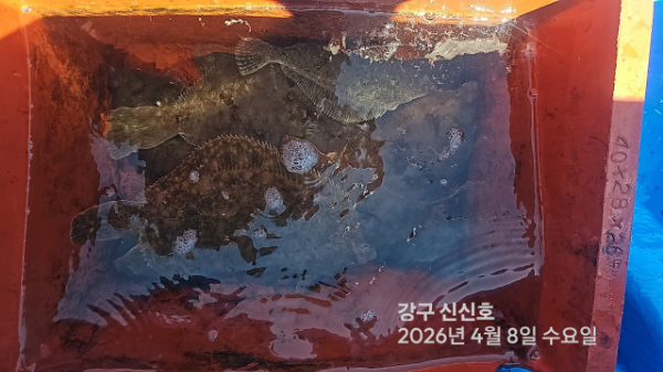 신신낚시 강구점 신신호_사진_20260408_8.jpg