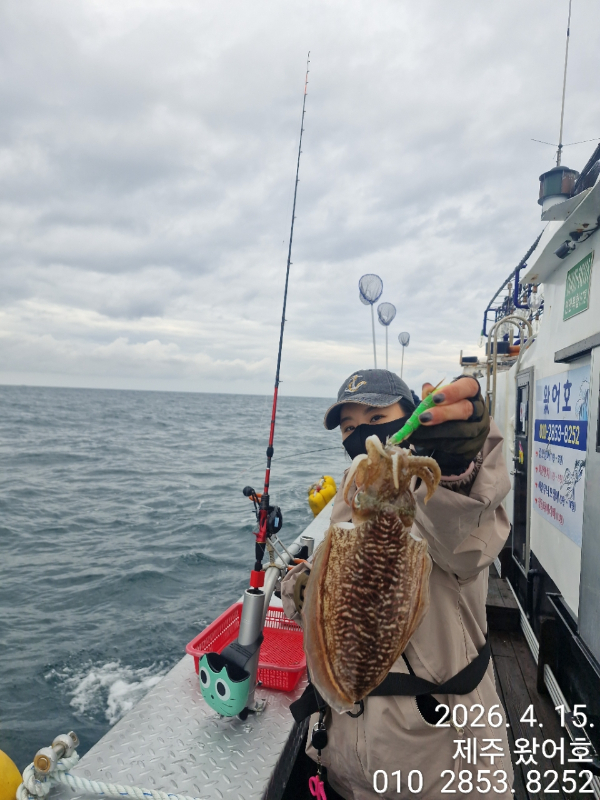 제주왔어호_사진_20260415_17.jpg