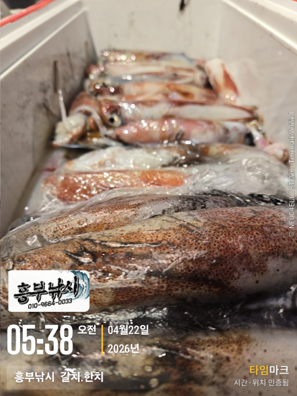 2026-04-22 05.38.08__(-흥부낚시  갈치.한치).jpg