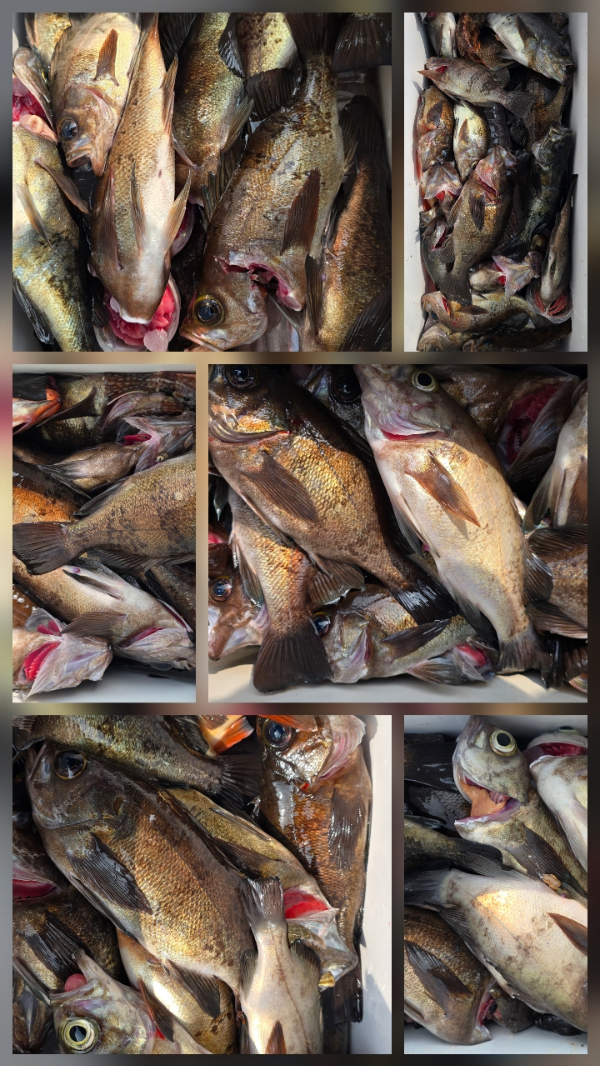 BandPhoto_2026_04_21_11_07_19_6.jpg