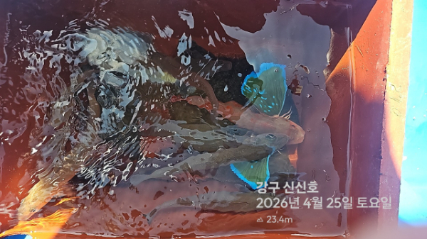 신신낚시 강구점 신신호_사진_20260425_14.jpg