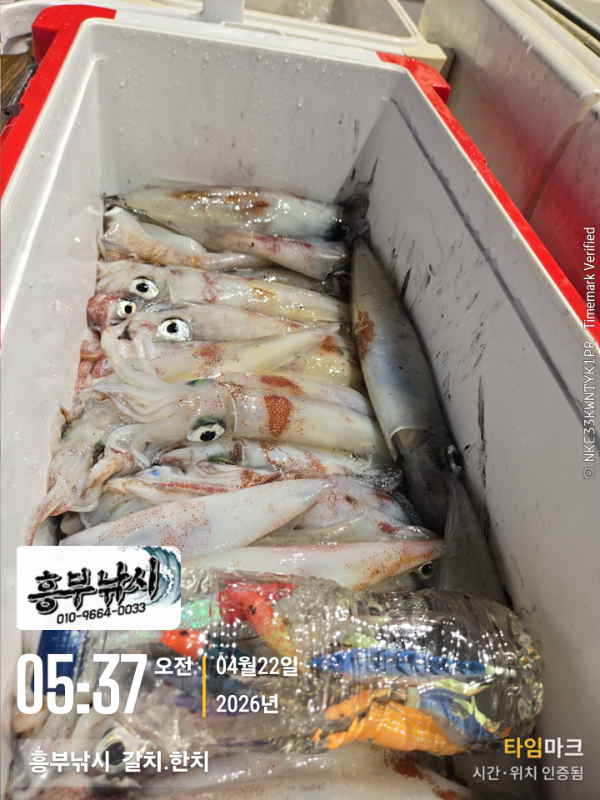 2026-04-22 05.37.38__(-흥부낚시  갈치.한치).jpg