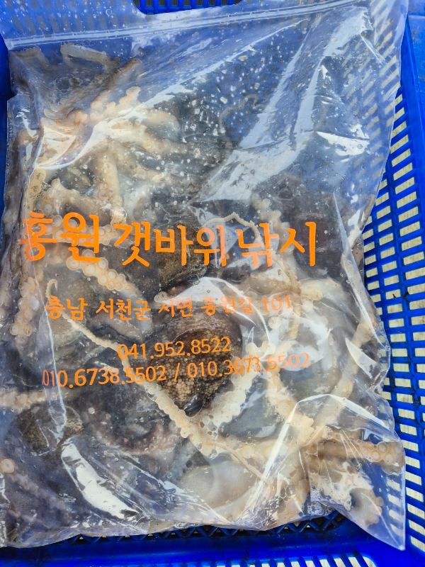 KakaoTalk_20260410_113746912_03.jpg