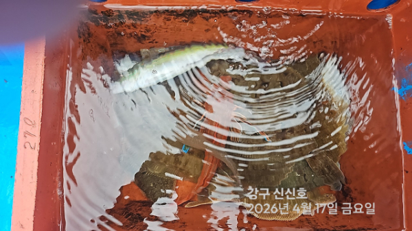 신신낚시 강구점 신신호_사진_20260417_6.jpg