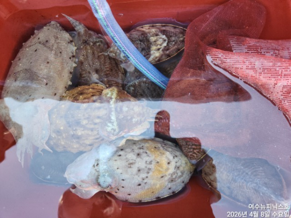 4월8일심해갑 (12).jpg