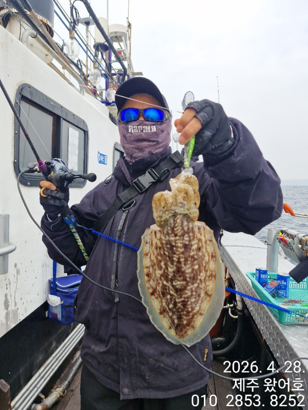 제주왔어호_사진_20260429_21.jpg