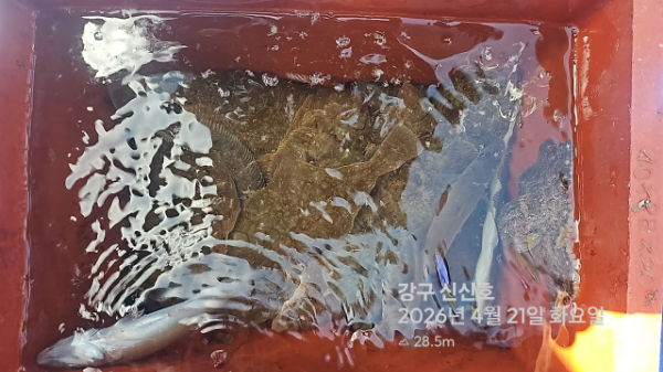 신신낚시 강구점 신신호_사진_20260421_17.jpg