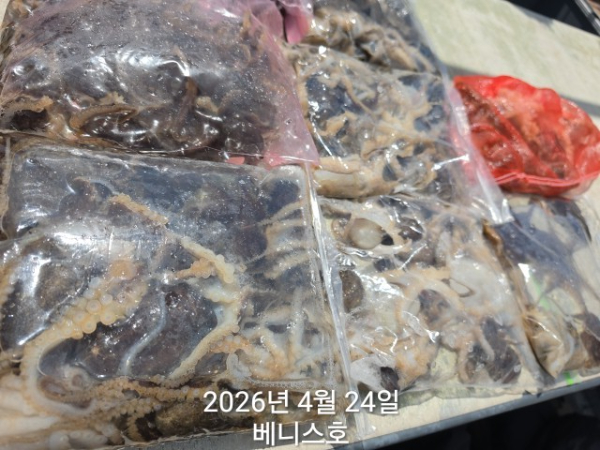 KakaoTalk_20260424_141325417_03.jpg