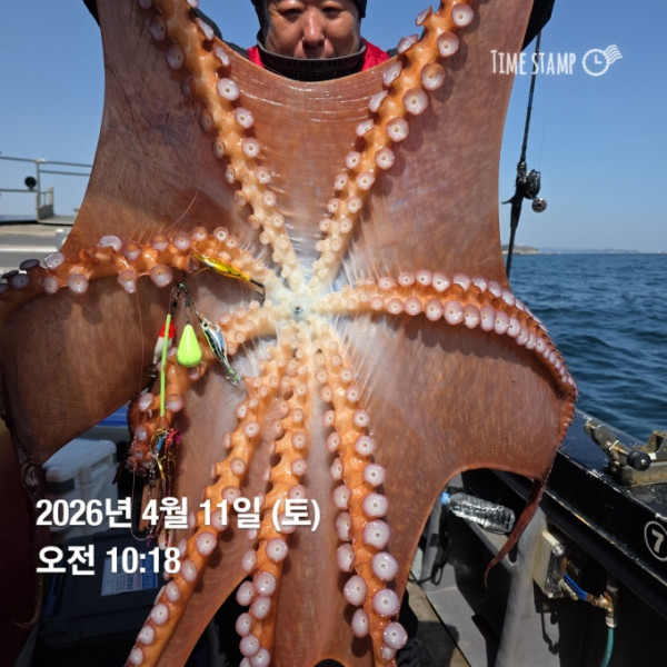 [크기변환]1775890817268.jpg