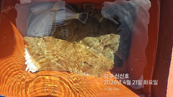 신신낚시 강구점 신신호_사진_20260421_6.jpg