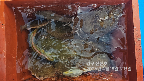 신신낚시 강구점 신신호_사진_20260418_14.jpg