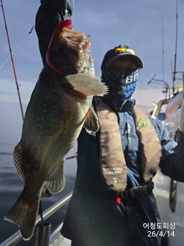 최강피싱 063.463.0800_사진_20260414_25.jpg