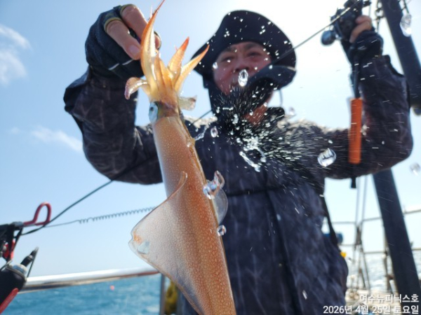 4월26일갑한치 (35).jpg