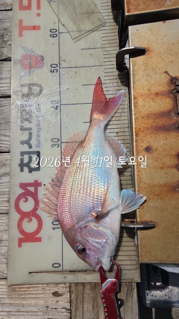 1004피싱_사진_20260411_6.jpg