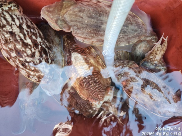 4월8일심해갑 (10).jpg