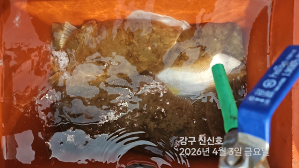 신신낚시 강구점 신신호_사진_20260403_14.jpg