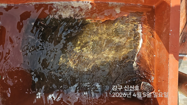 신신낚시 강구점 신신호_사진_20260405_19.jpg