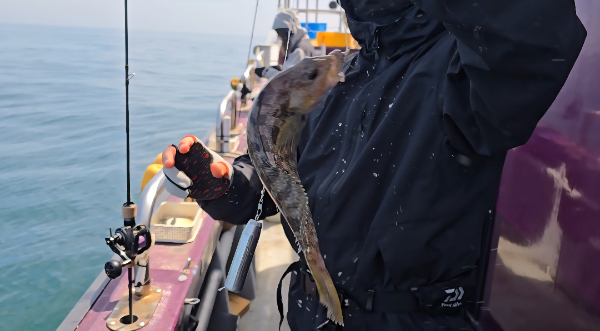 Screenshot_20260412_143611_Video Player.jpg