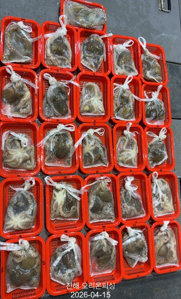 KakaoTalk_20260417_101302663_04 (1).jpg