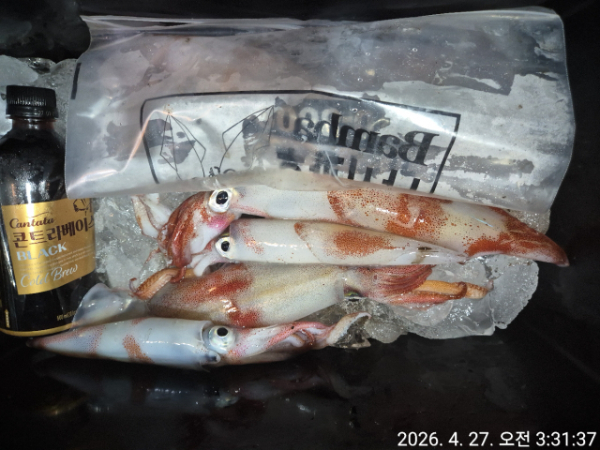 1004피싱_사진_20260427_19.jpg