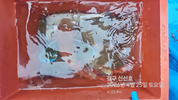 신신낚시 강구점 신신호_사진_20260425_19.jpg