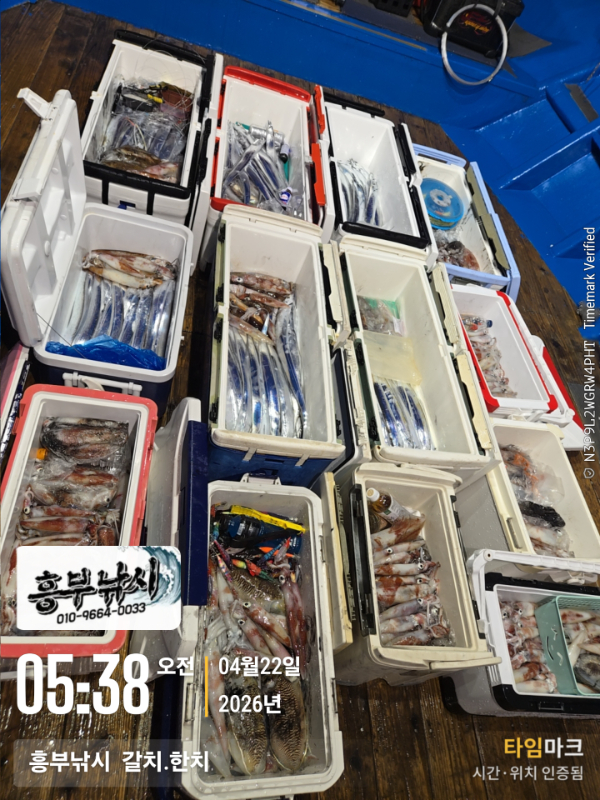 2026-04-22 05.38.31__(-흥부낚시  갈치.한치).jpg