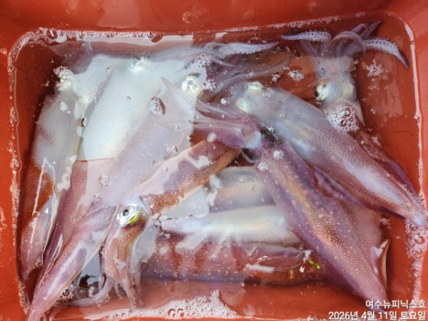 4월12일갑한 (8).jpg