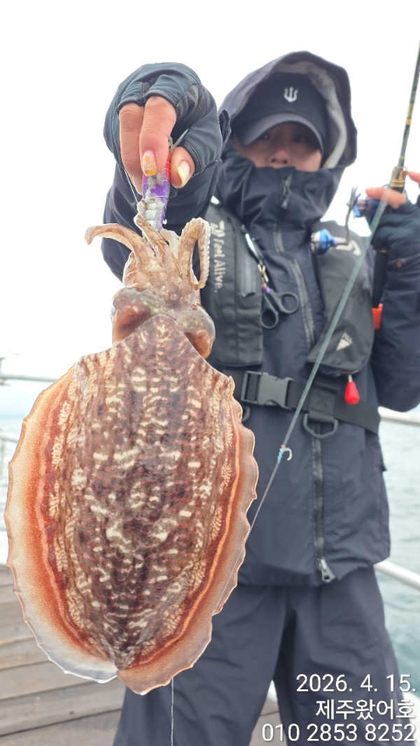 제주왔어호_사진_20260415_21.jpg