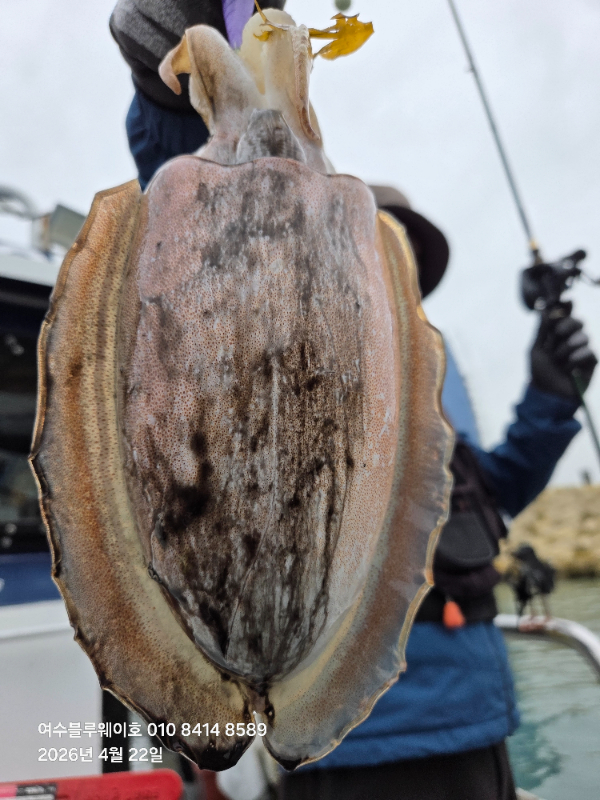6324.jpg