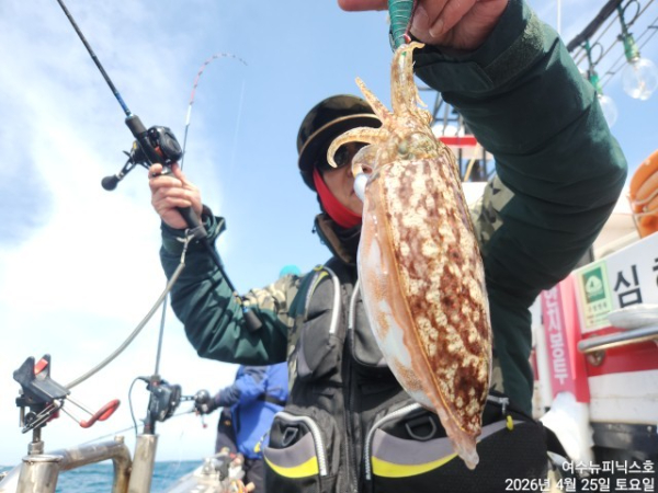 4월26일갑한치 (23).jpg