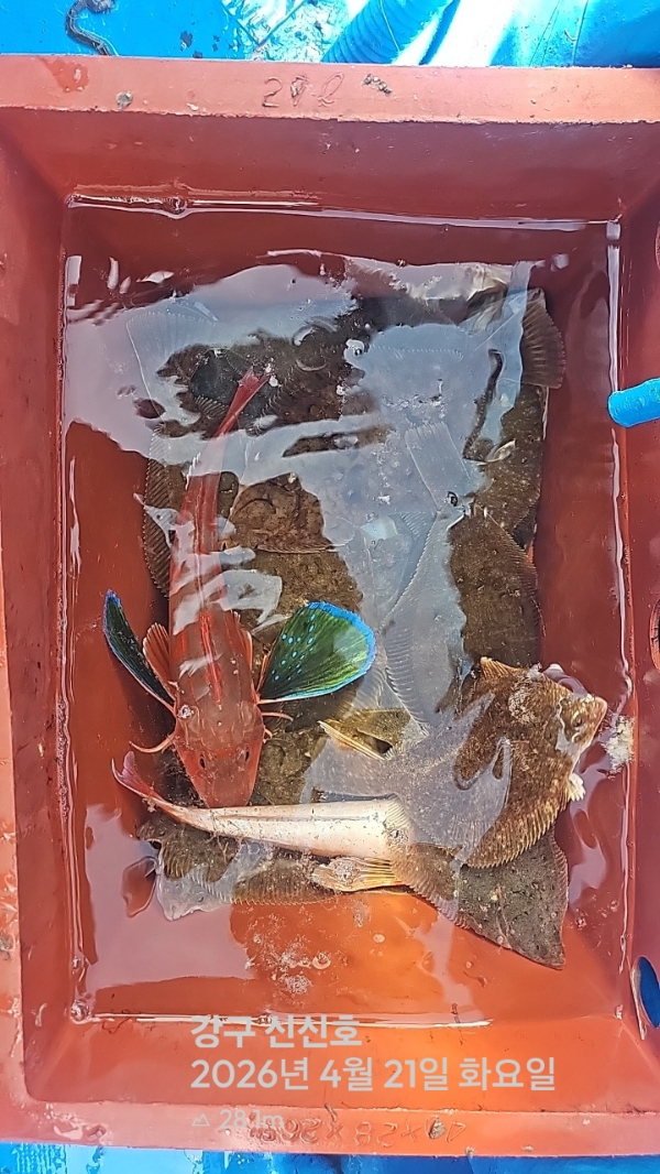 신신낚시 강구점 신신호_사진_20260421_13.jpg