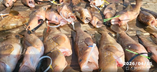 bandicam 2026-04-16 14-17-48-393.jpg