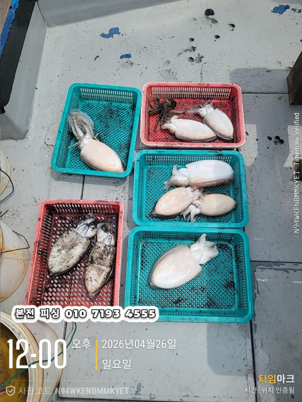 1777174867614_2026-04-26 12.00.55_.jpg