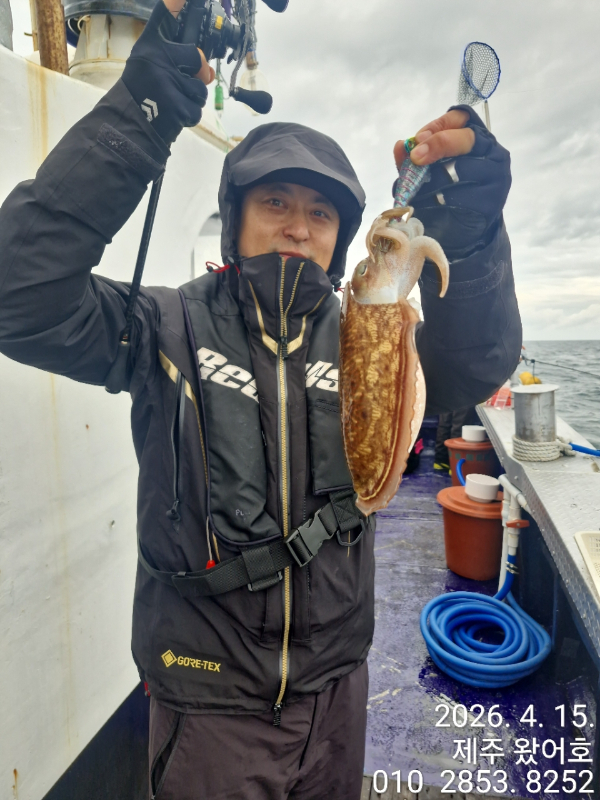 제주왔어호_사진_20260415_18.jpg