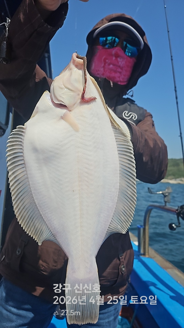 신신낚시 강구점 신신호_사진_20260425_2.jpg