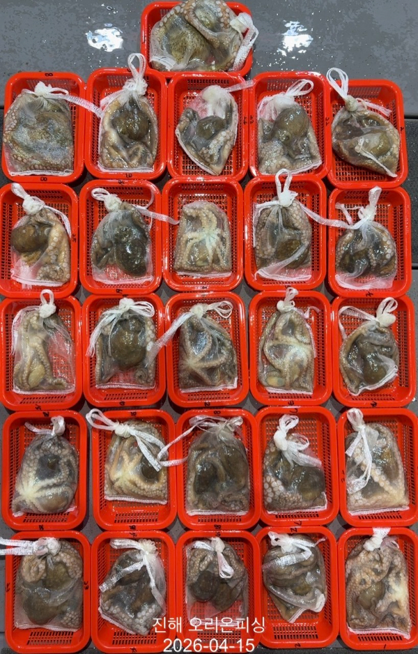 KakaoTalk_20260417_101302663_01 (1).jpg