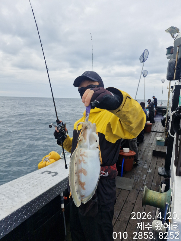 제주왔어호_사진_20260420_18.jpg