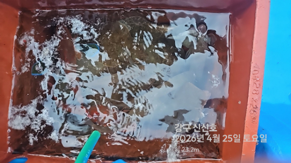 신신낚시 강구점 신신호_사진_20260425_12.jpg