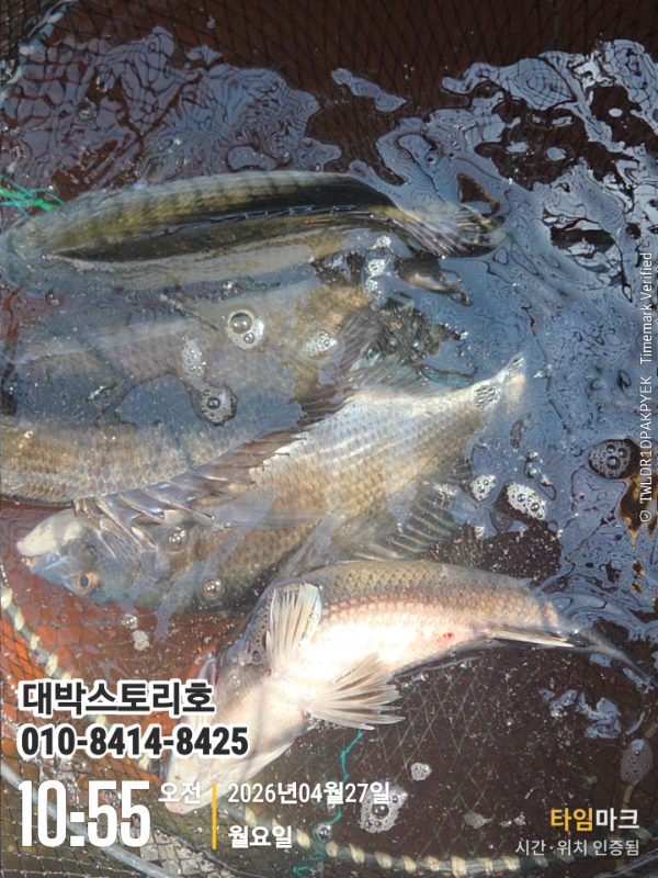 14013.jpg