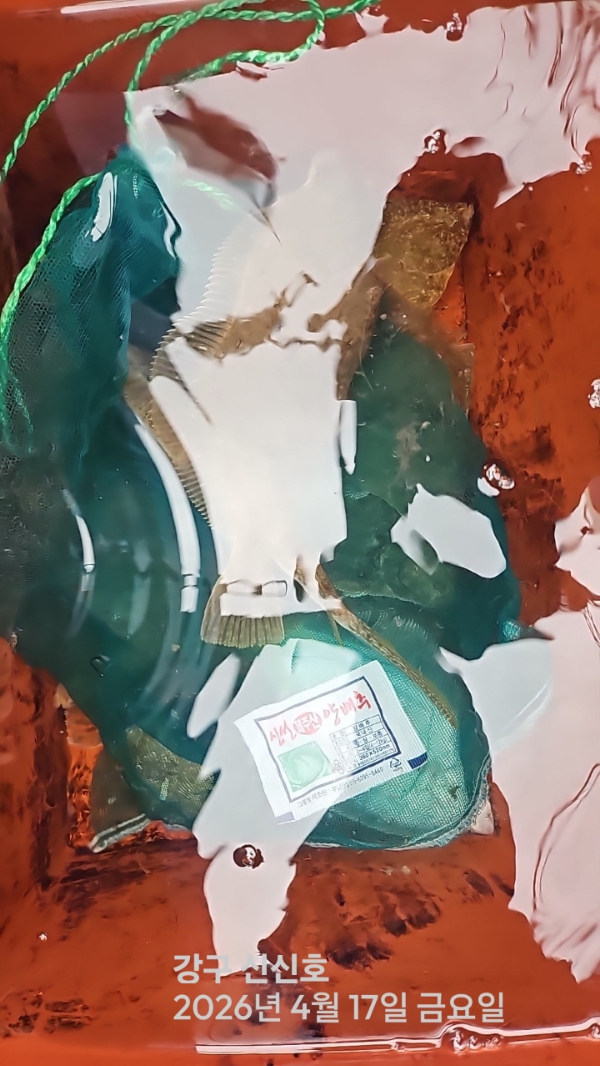 신신낚시 강구점 신신호_사진_20260417_15.jpg